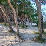 Charming Loft In Pinewood Forest 150m To Sea