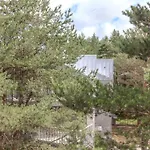 Appartement Charming Loft In Pinewood Forest 150m To Sea Palanga