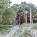 Charming Loft In Pinewood Forest 150m To Sea Palanga