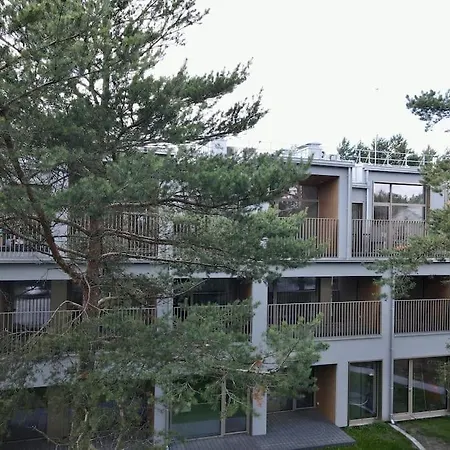 Charming Loft In Pinewood Forest 150m To Sea Apartamento Palanga