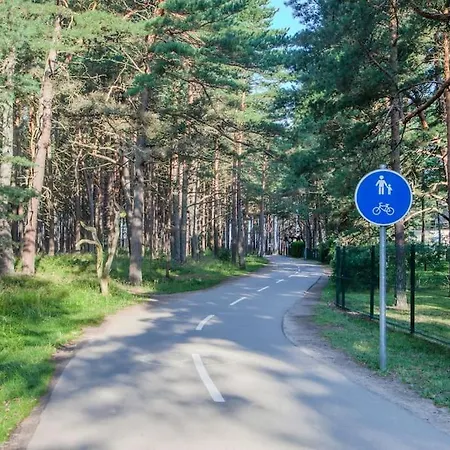 Apartment Charming Loft In Pinewood Forest 150m To Sea