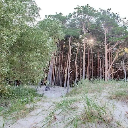 Charming Loft In Pinewood Forest 150m To Sea Palanga