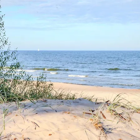 Charming Loft In Pinewood Forest 150m To Sea * Palanga