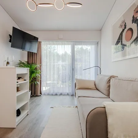Charming Loft In Pinewood Forest 150m To Sea Palanga