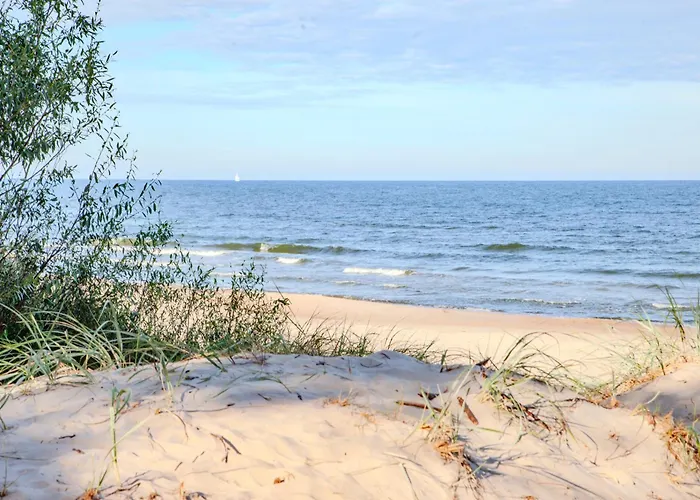 Charming Loft In Pinewood Forest 150m To Sea * פלאנגה